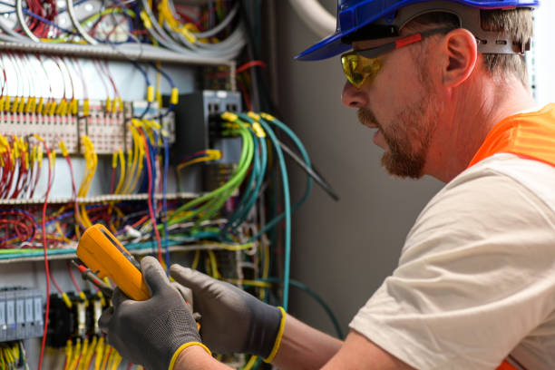 Best Electric Panel Repair  in Wells, NV