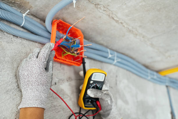 Best Licensed Electrician  in Wells, NV