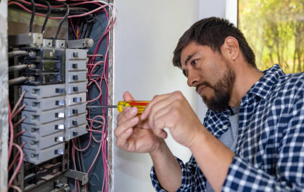 Best Local Electrician Companies  in Wells, NV